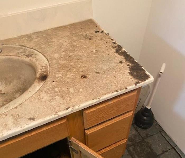 A photo of a sink with sewage on it